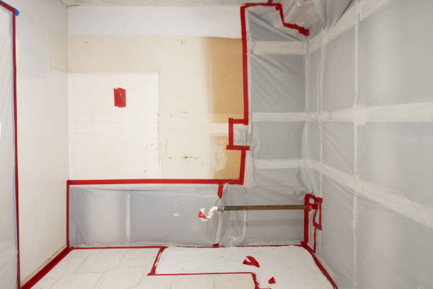 Best Air Quality Testing for Mold Spores  in Rineyville, KY