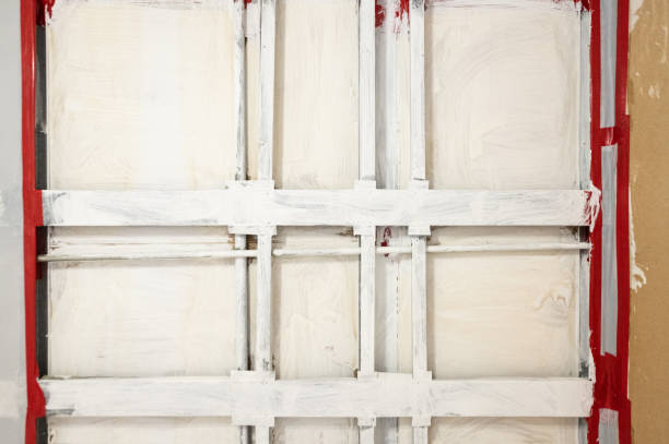 Best Mold Remediation for Healthcare Facilities  in Rineyville, KY
