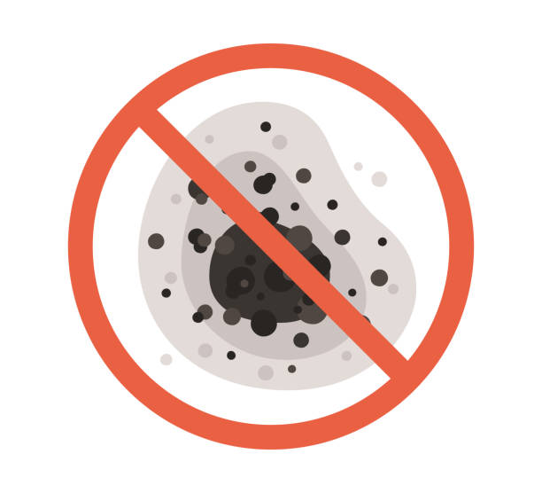 Mold Documentation for Insurance Claims in Rineyville, KY