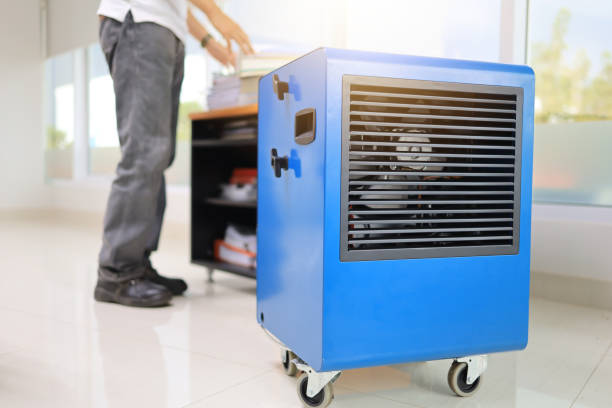  Rineyville, KY Mold Removal Pros