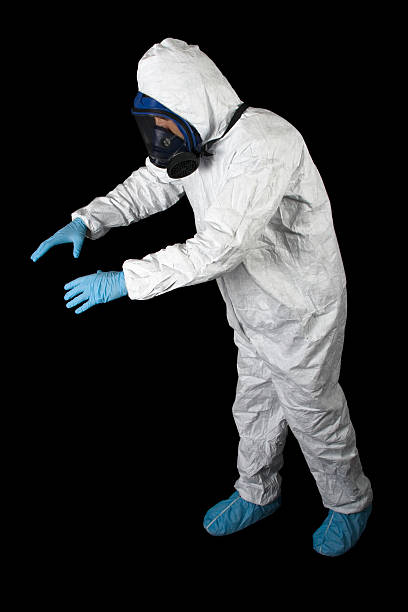 Best Black Mold Removal  in Rineyville, KY