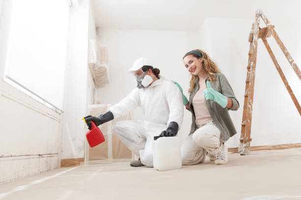 Best Post-Remediation Verification Testing  in Rineyville, KY